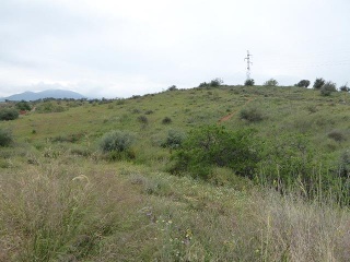 PAGO DE LA PIEDRA DE LOS CUARTILLOS 9