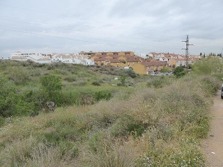 PAGO DE LA PIEDRA DE LOS CUARTILLOS 14