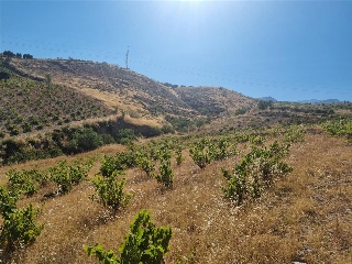 P.P. DEL SUELO URBANIZABLE SUR- PAGO DE LOS ALMEND 4