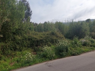REIBON -MEIRA 2