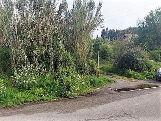 REIBON -MEIRA 3