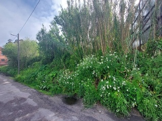 REIBON -MEIRA 4