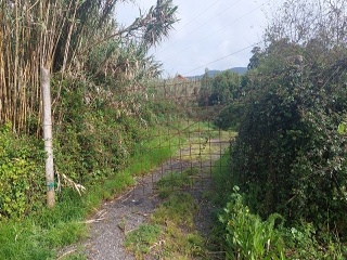 REIBON -MEIRA 6