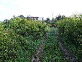 REIBON -MEIRA 8