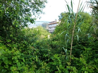 REIBON -MEIRA 9