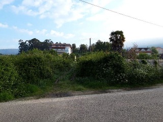 REIBON -MEIRA 10