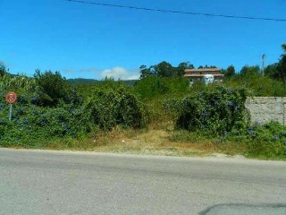 REIBON -MEIRA 12