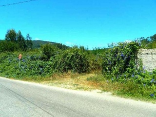REIBON -MEIRA 14