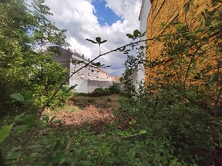 SANTIAGO 4