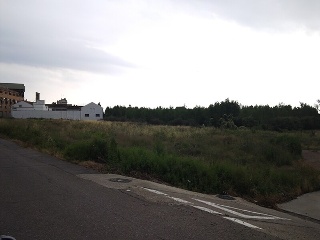 P 13 0 2