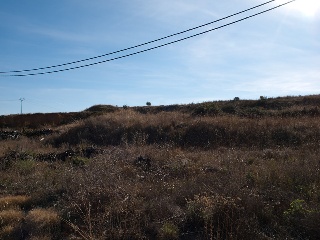 ASTURIAS 7