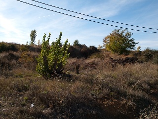 ASTURIAS 8