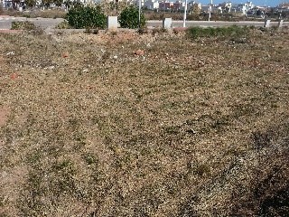 Avenida España 2