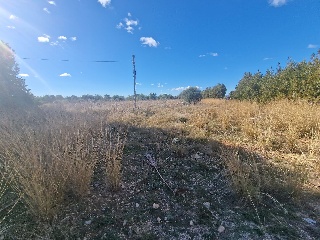 POLIGONO 23 3
