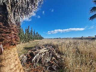 POLIGONO 23 6