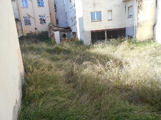 BARDALES (FINCA 5) 6