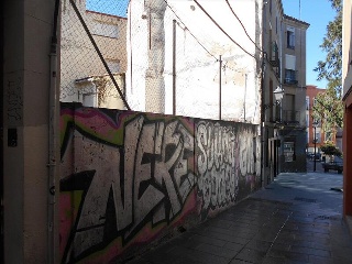 BARDALES (FINCA 5) 7