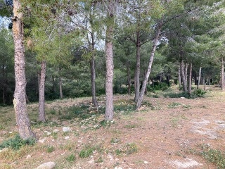 Pisos banco Mont-roig del Camp