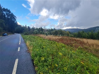 LOUREIROS, PARCELA 3