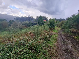 LOUREIROS, PARCELA 4