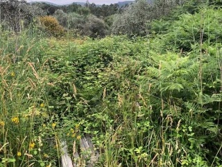 LOUREIROS, PARCELA 7