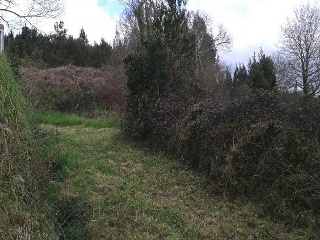 LOUREIROS, PARCELA 8