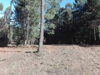 LOUREIROS, PARCELA 10