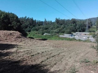 LOUREIROS, PARCELA 14