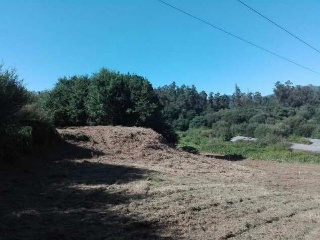 LOUREIROS, PARCELA 15