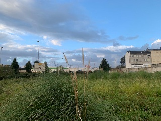 MILLARENGO 2
