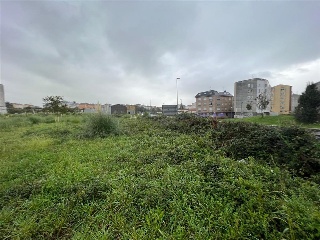 MILLARENGO 16