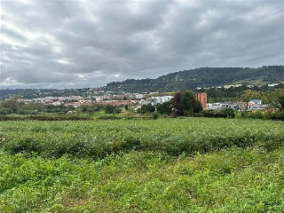 CABAÑAS 3