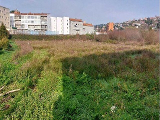 CABAÑAS 12