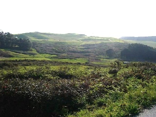 PORTIÑO 2