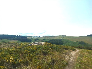 PORTIÑO 3