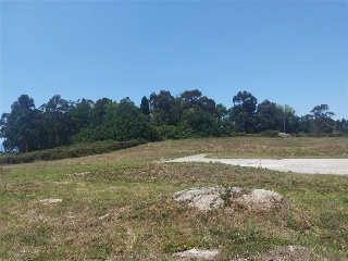 PORTIÑO 5