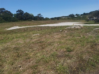 PORTIÑO 6