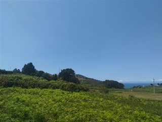 PORTIÑO 7
