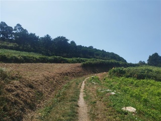 PORTIÑO 8