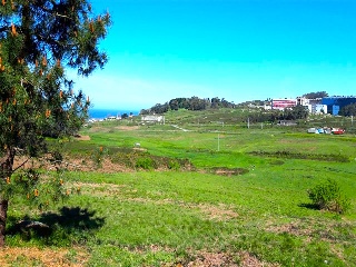 PORTIÑO 12