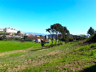 PORTIÑO 14