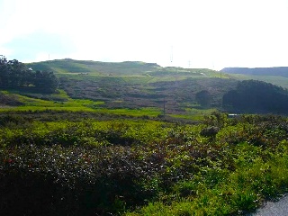 PORTIÑO 27