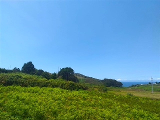 PORTIÑO 29