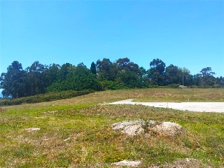 PORTIÑO 30