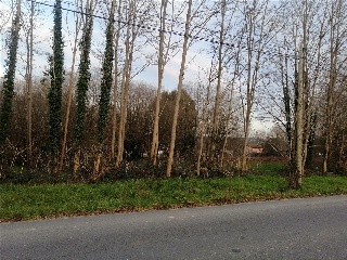 FONTALDEIRO, PARCELA 10
