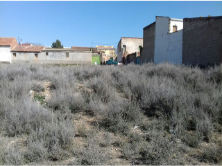 Pisos banco Almunia de Doña Godina (La)