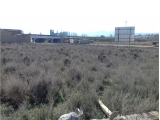 CAMINO DE CABAÑAS O LA CUESTA, PARCELA 7