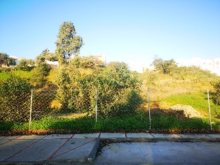 Pisos banco Benalup-Casas Viejas