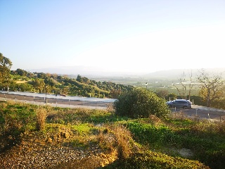 CAÑUELO 3