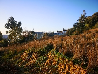 CAÑUELO 4